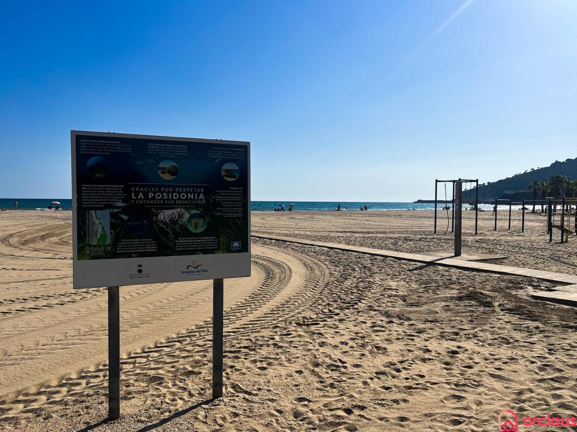 El Paraiso En Playa Concha Orpesa Kültér fotó